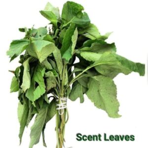 Fresh Scent Leaves 250g