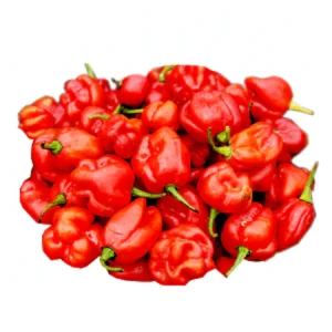 Fresh Pepper 250g