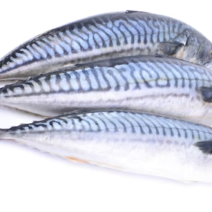 Titus Fish 1kg